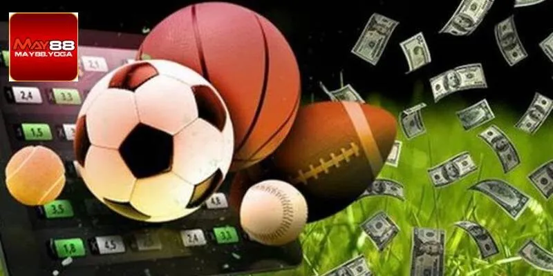 Hướng dẫn quy trình cá cược thể thao